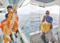 Gemalai tarikan sotong mengabang