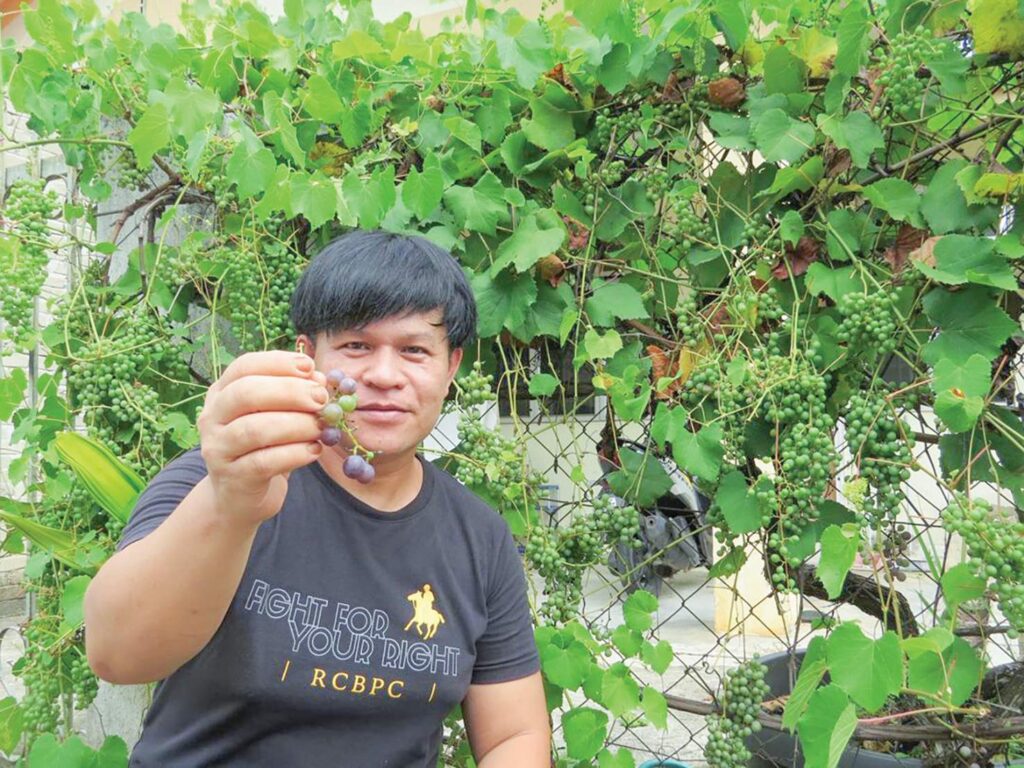 Azizul pelawa makan anggur percuma