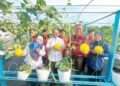 Pelajar PPKI usaha ladang fertigasi golden melon