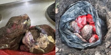 Tergamak sedekah 20kg daging korban hitam, berbau