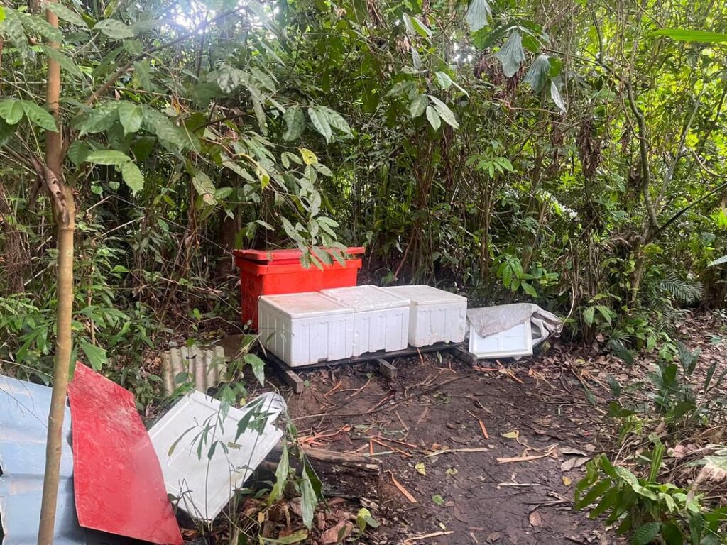 Kawasan hutan lokasi proses, jual air ketum di Pasir Mas digempur