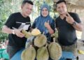 Damak king ‘potong’ musang king