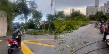 [VIDEO] ‘Macam lalu taman tema Jurassic Park’