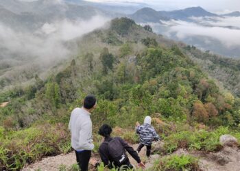 Tak tahu hujung pangkal jangan komen