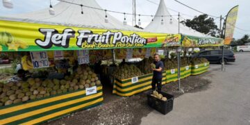 Musim durian kali ini memang luar biasa
