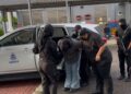 Pengasuh dituduh bunuh anak asuhan usia 11 bulan