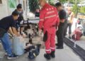 Adik tetak abang tiga kali dengan parang di kebun durian