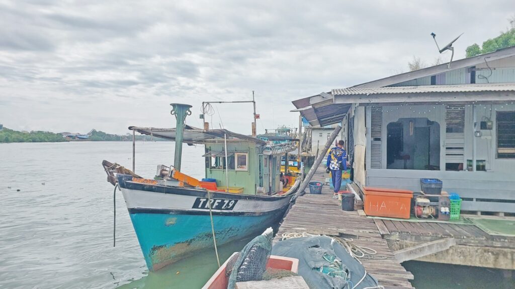 Jumpa lubuk sotong ‘sombong’ di Kemaman