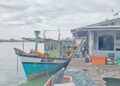 Jumpa lubuk sotong ‘sombong’ di Kemaman