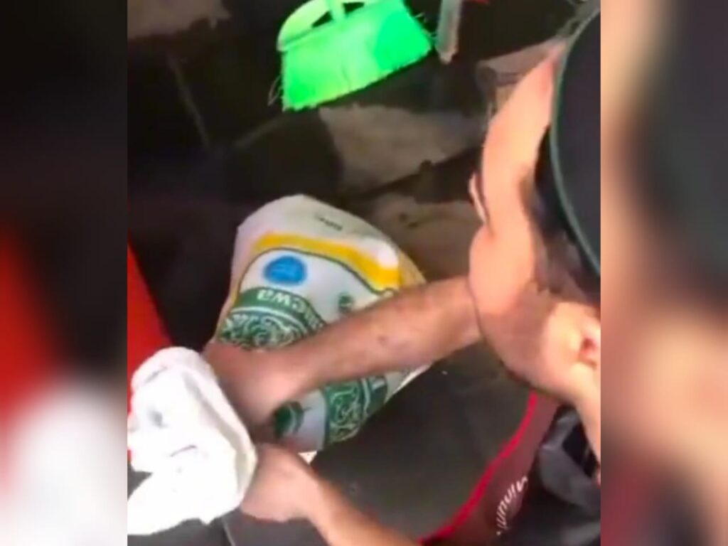 Polis buka kertas siasatan kes aniaya kucing