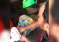 Polis buka kertas siasatan kes aniaya kucing