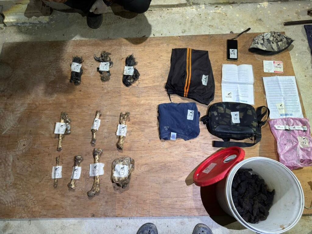6 warga Myanmar terlibat kegiatan buru beruang sec