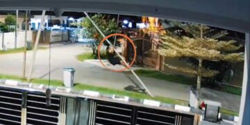 [VIDEO] Pencuri kabel ala Spiderman ‘disergah’ di Bahau