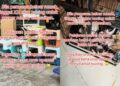 [VIDEO] Penyewa pindah rumah lain, tinggalkan puluhan kucing