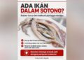 Sotong ada ikan dalam perut bukan bukti peniaga menipu – PHM