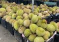 Untuk bakar kalori sebiji musang king, kena lari 22km