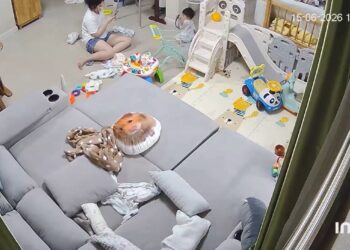 Ibu terkejut, anak kecil hayun ular