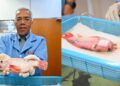 Bedah ikan, UPM bangunkan sistem pembiusan ikan pertama di Malaysia