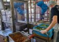 Teknologi robotik AI percepat agihan makanan komuniti