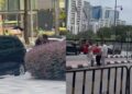 Gagak ‘naik angin’ di KLCC? Ramai pejalan kaki kena serang