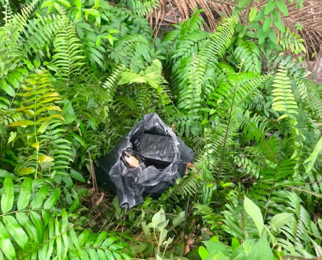 Penyeludup tinggal plastik berisi 11 kg ganja dalam ladang sawit