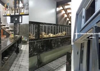 Rumah mewah rupanya kandang biri-biri