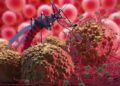 Malaria menular dalam kalangan pendatang asing Terengganu