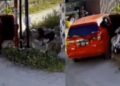 Polis giat buru suspek curi kambing sumbat dalam kereta