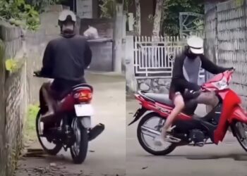 Tidak mati digilis, ular serang balas penunggang motosikal