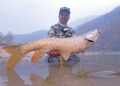 Ekspedisi epik buru ‘golden mahseer’ Himalaya