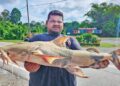 Kenerak, ‘gergasi’ sungai berarus deras