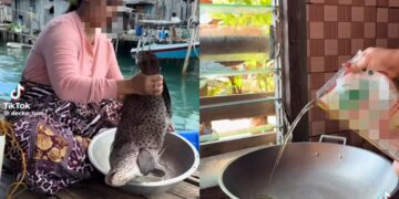 [VIDEO] ‘Macam mana minyak peket boleh sampai Filipina?’