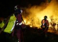 13,000 hektar hutan musnah akibat kebakaran 