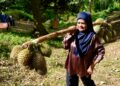 Warga emas galas durian 100kg turun puncak bukit