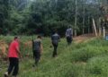 Harimau kumbang ‘hantui’ penduduk Ulu Rokan