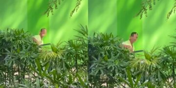 [VIDEO] ‘Tak pasal-pasal kena baling batu’