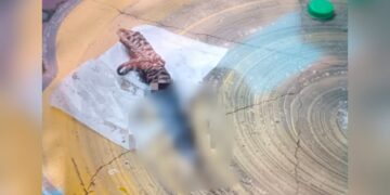 Tikam pelajar : Suspek ditahan polis, siasat cubaan membunuh