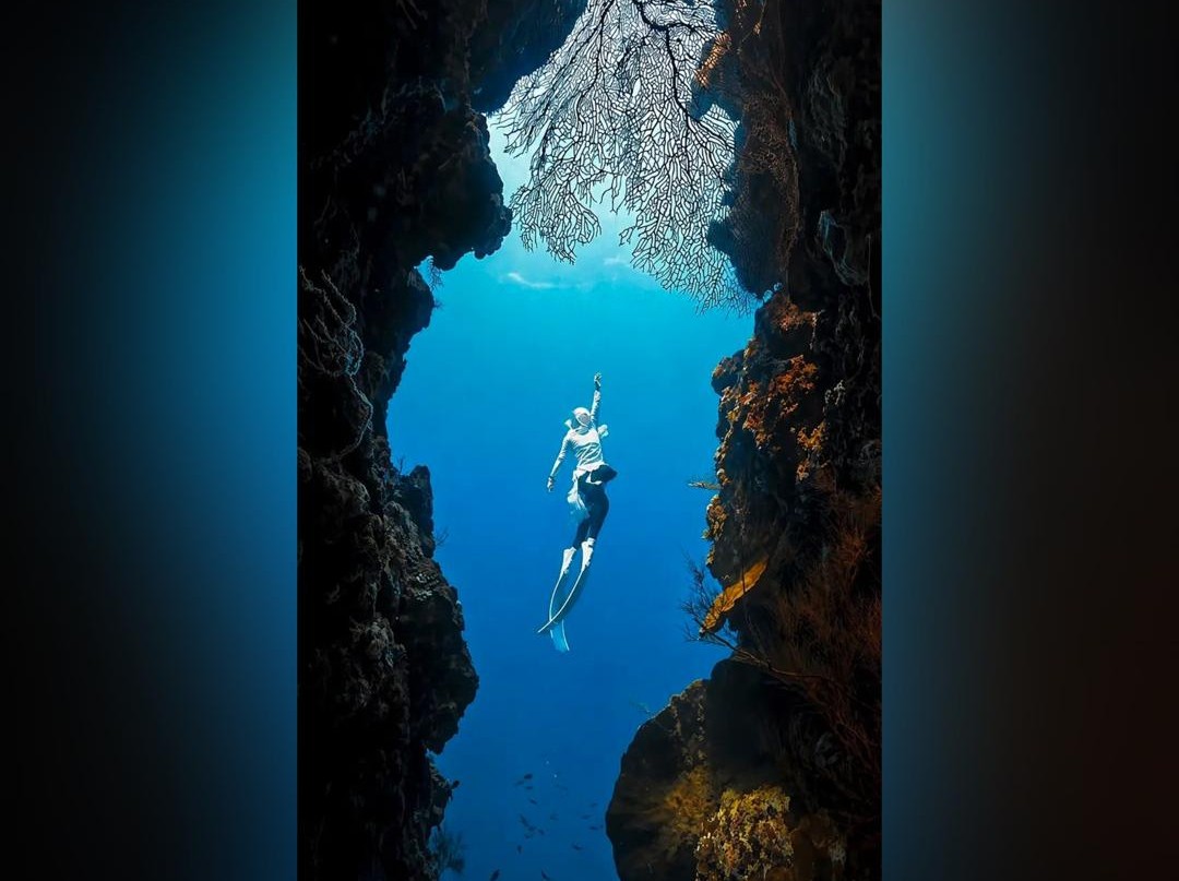 Teroka dasar laut melalui selaman bebas