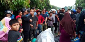 Lelaki maut dihempap pokok pulai reput ketika ribut