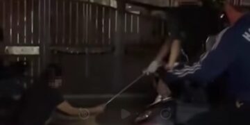[VIDEO] Operasi tangkap anjing liar jadi kecoh, ugut guna pisau