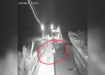 Lelaki dibaham buaya semasa baiki perahu