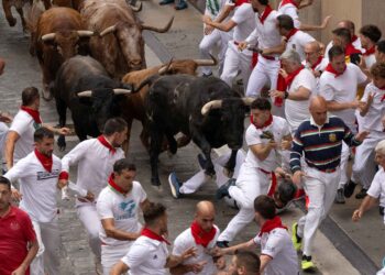 11 cedera dipijak lembu jantan