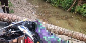 Remaja maut dihempap pokok kelapa ketika ribut