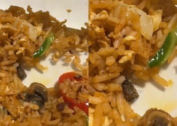 Makan separuh nasi goreng, baru jumpa lipas