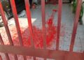 535 wanita jadi ejen along, termasuk tukang simbah cat
