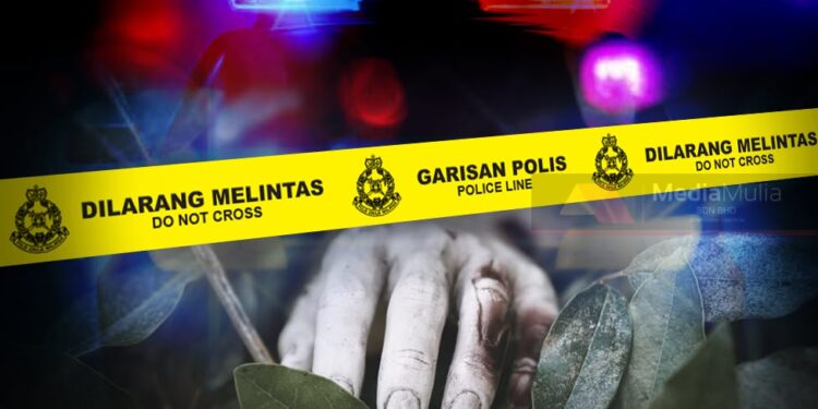 Pemandu lori maut dibunuh adik sendiri