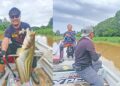 Mencari ikan tapah Sungai Tengi